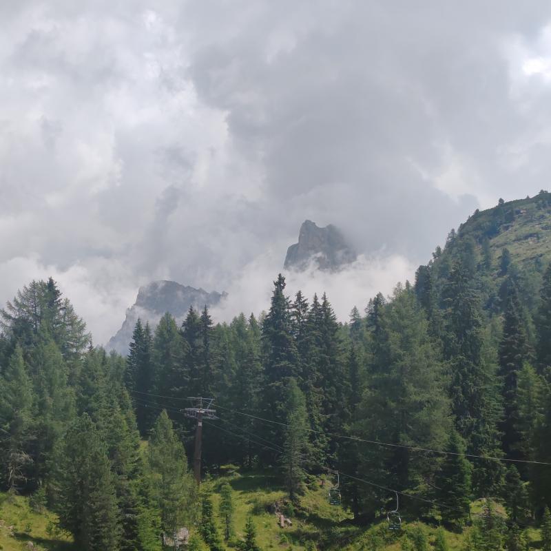 Pale di san martino