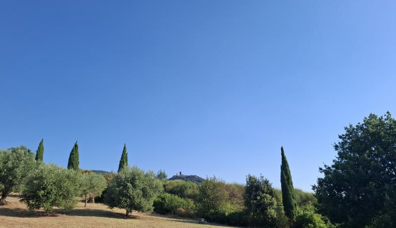 l'estate addosso