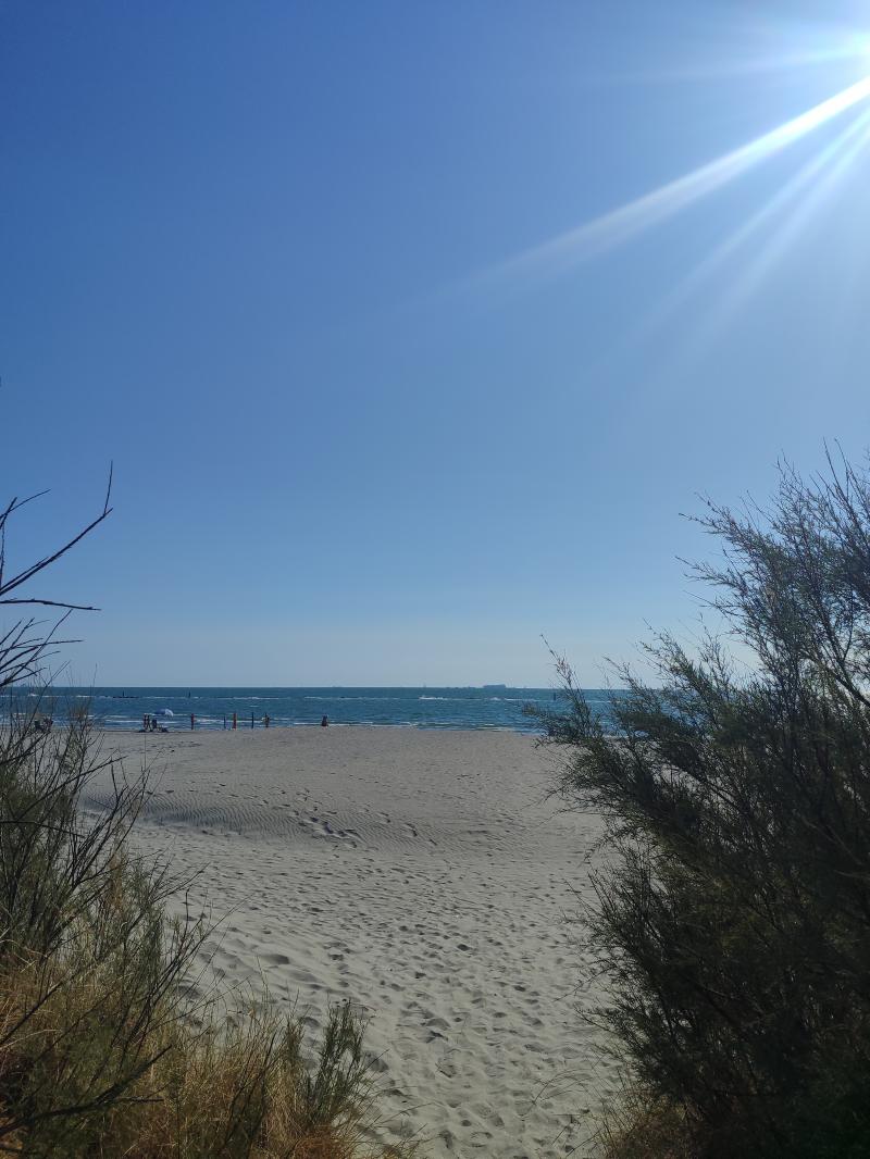 luglio splendido