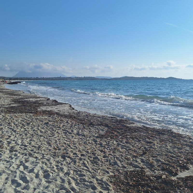 Fotosegnalazione di San teodoro-ss