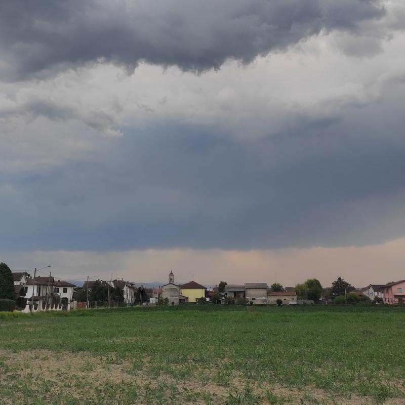 Fotosegnalazione di Zerbo