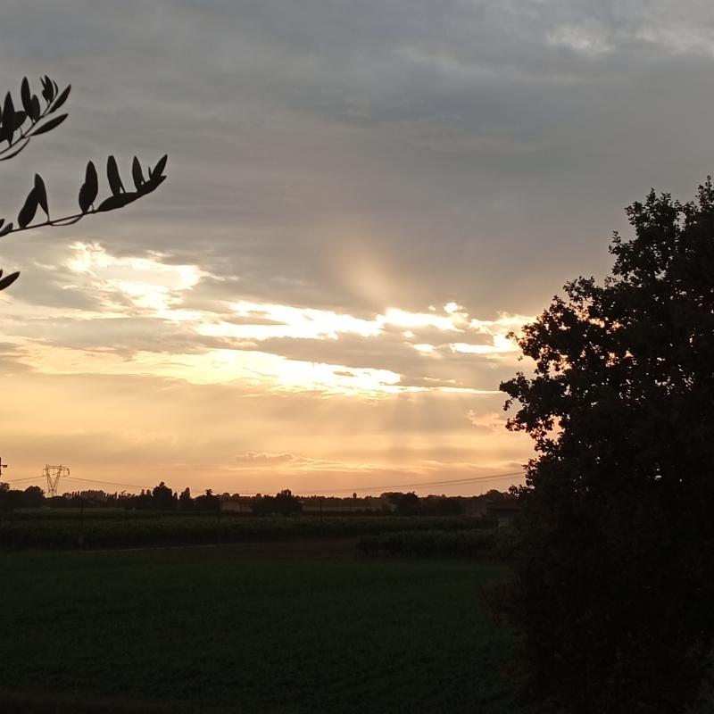 Tramonto in giallo...