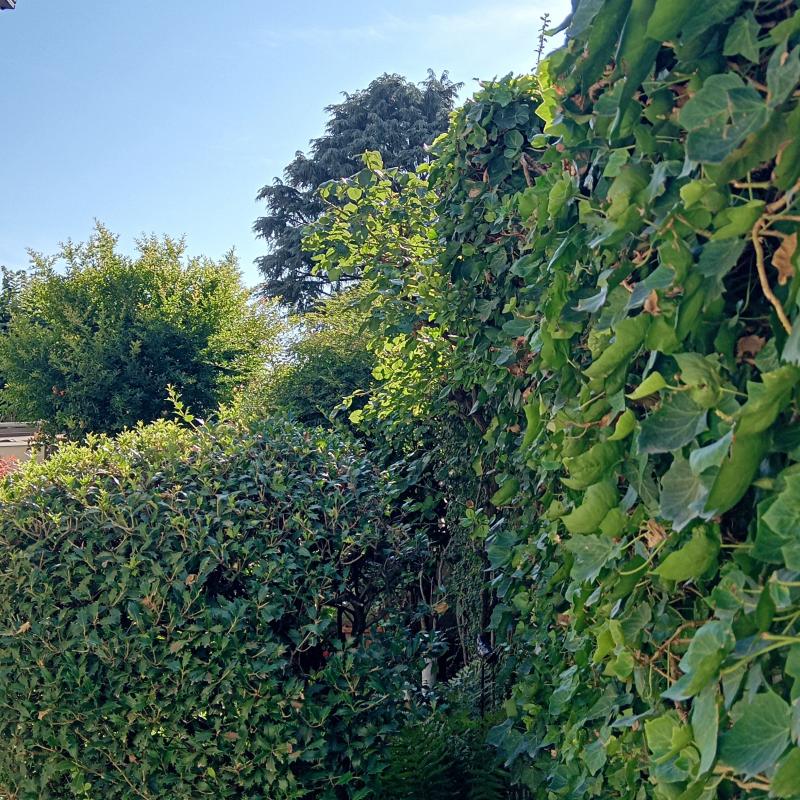 Fotosegnalazione di Cinisello balsamo