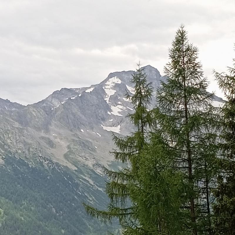 in alto con gli impianti