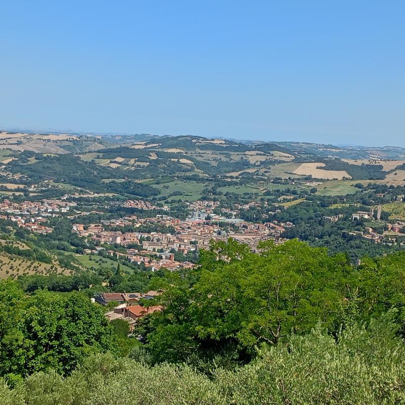 Paradiso