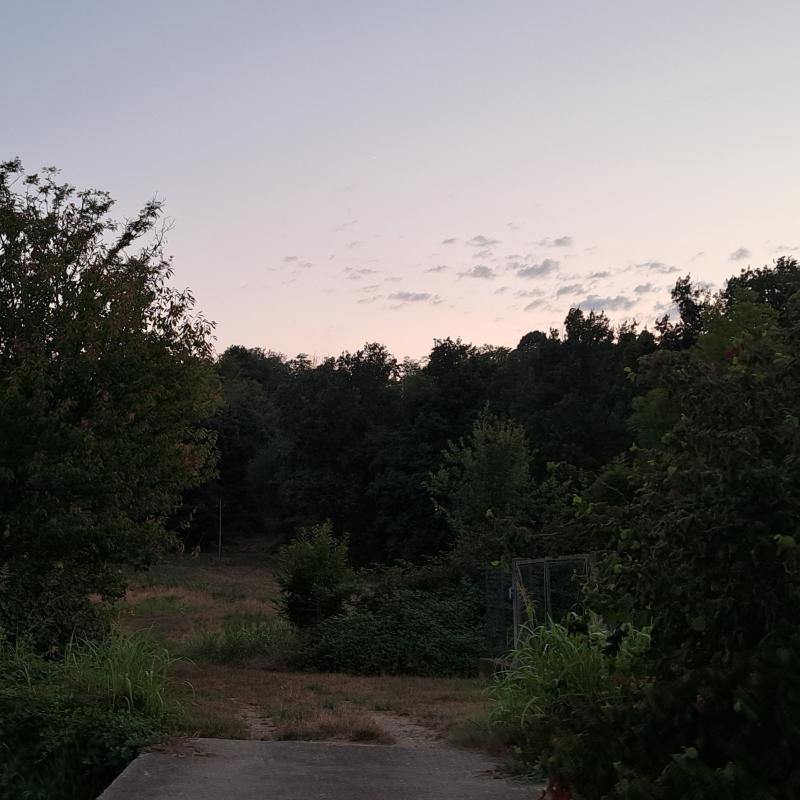 Scorcio di collina