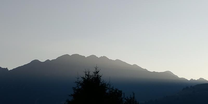 alba afosa