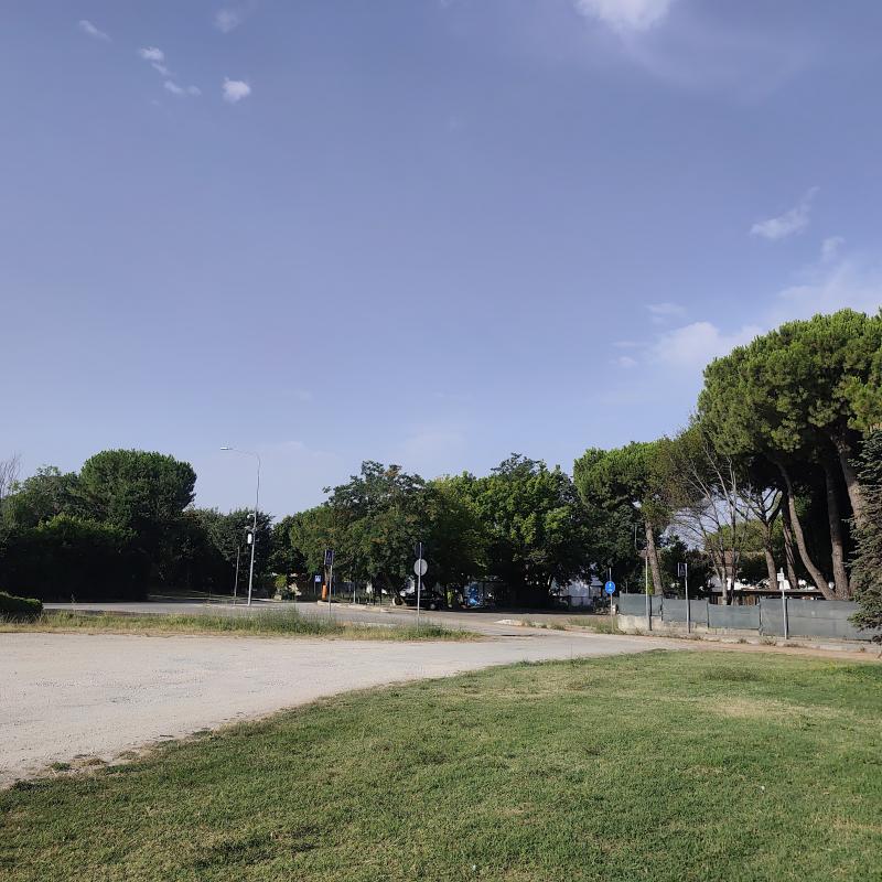 Fotosegnalazione di Bagnarola
