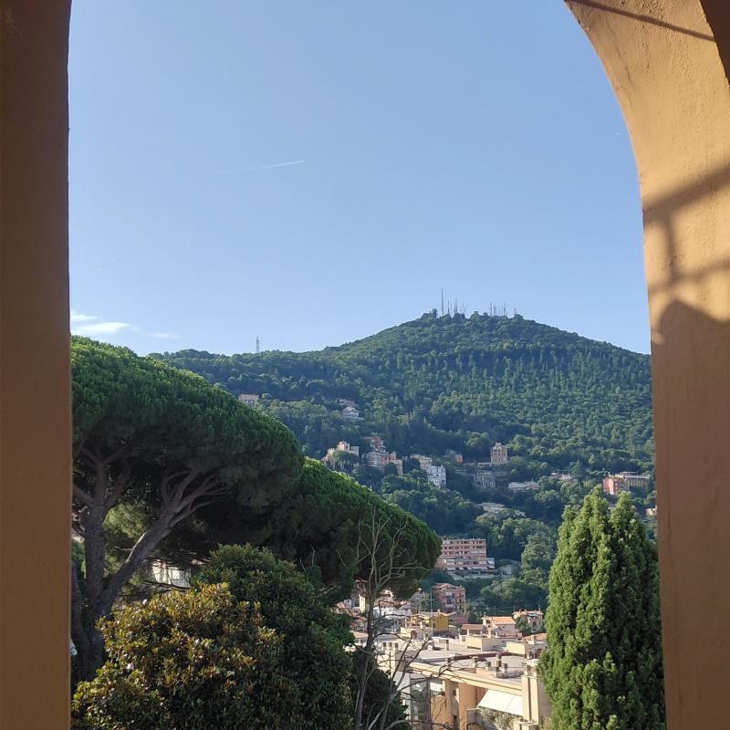 Mattina