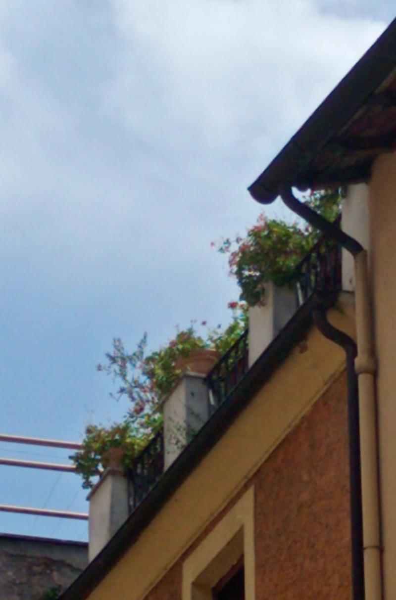 bel tempo sopra i gerani