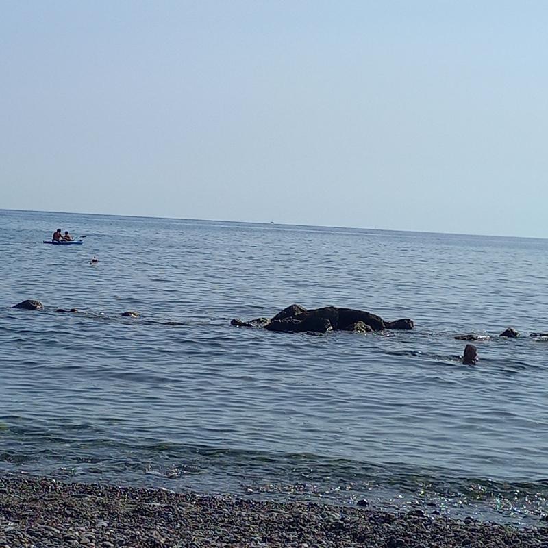 Fotosegnalazione di Pisciotta