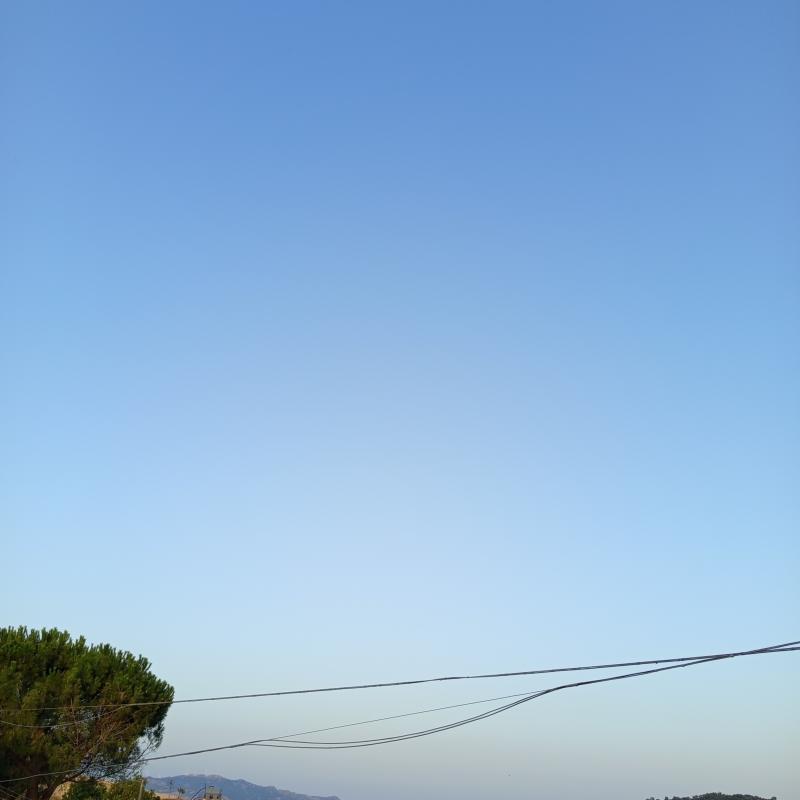 Giornata rovente in cda musa