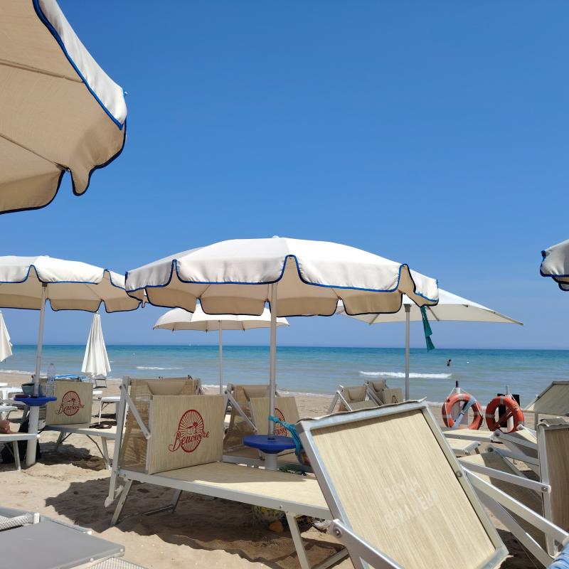 Fotosegnalazione di Senigallia