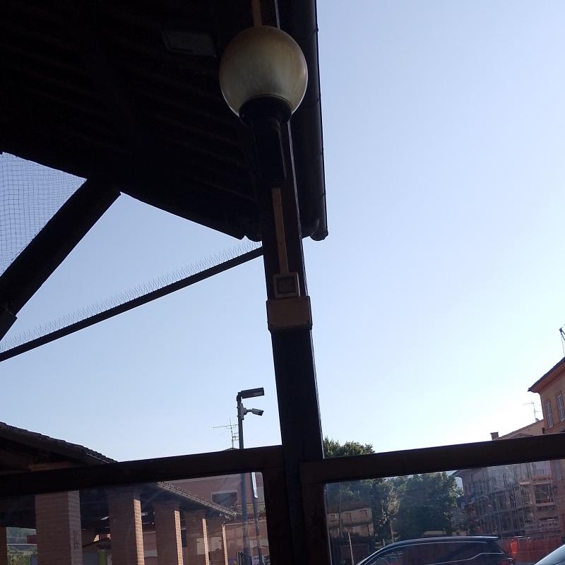 Fotosegnalazione di Castelraimondo