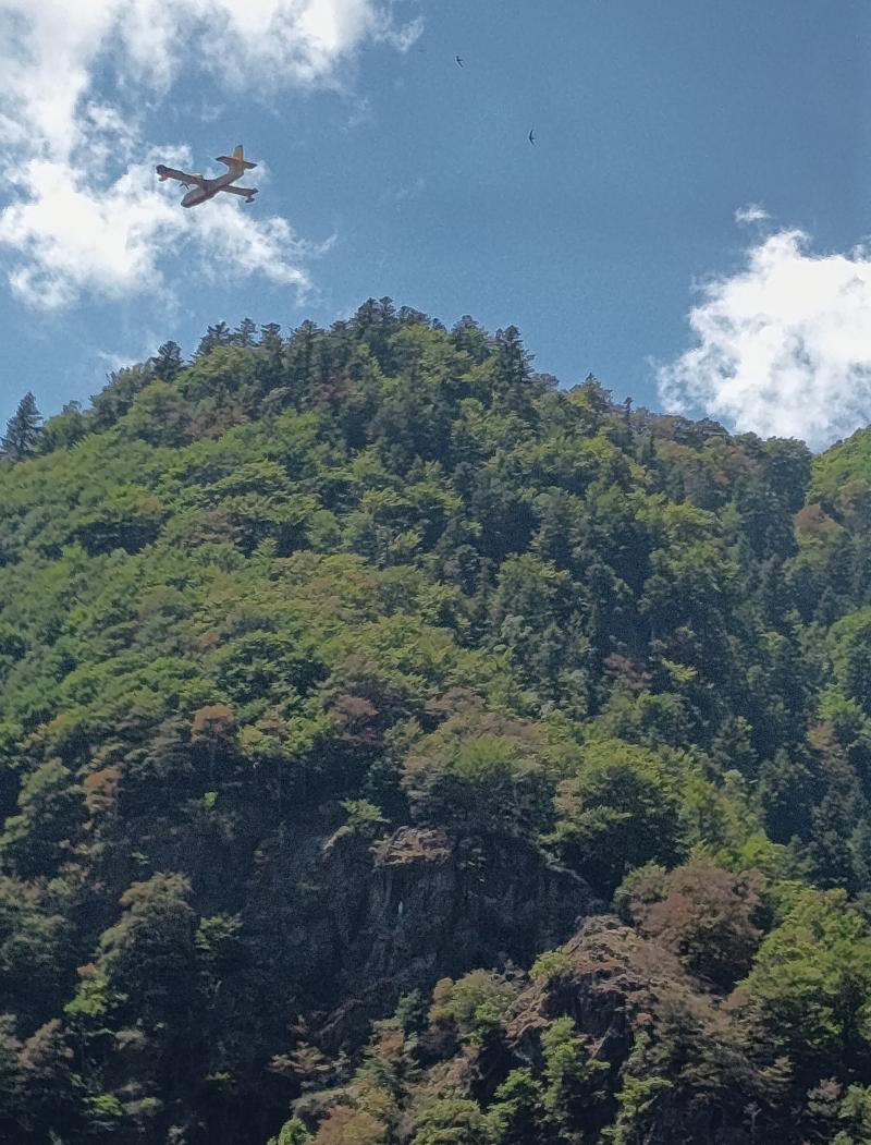 Incendio a Forno Valstrona