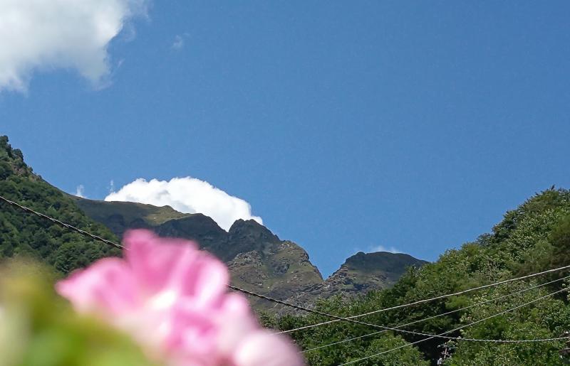 la ravinela