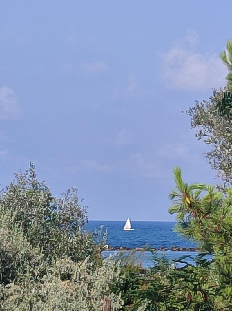 pomeriggio splendido