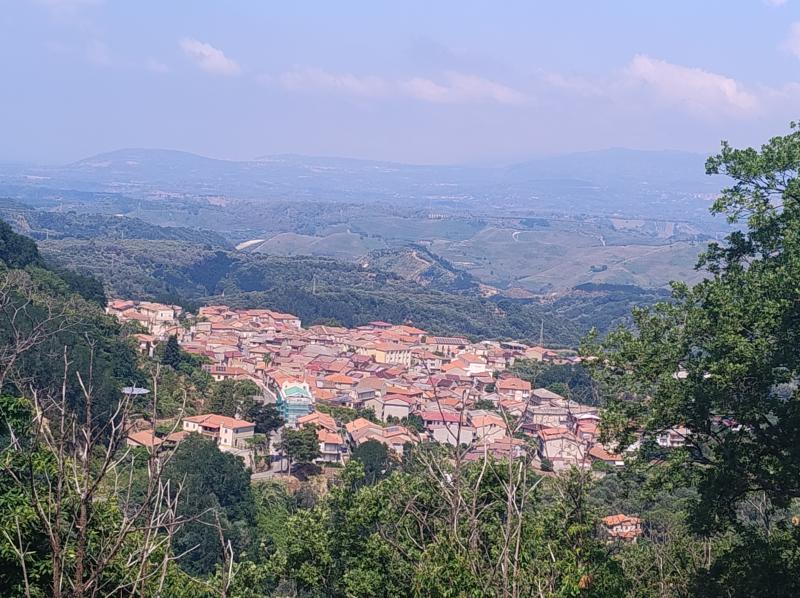 carida' luglio 2026 s. m.