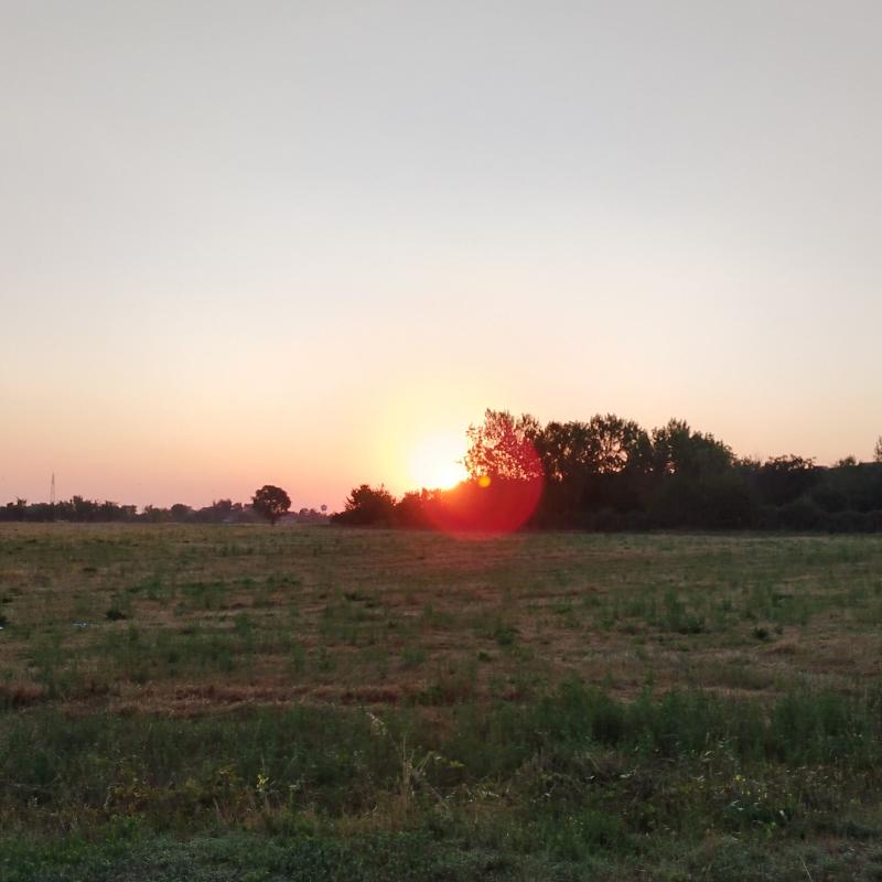 alba s bovo