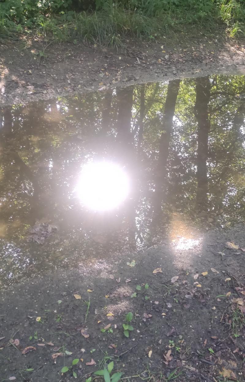 i mille volti del cormor. sole che si specchia in una pozzanghera. i miei attimi speciali adry