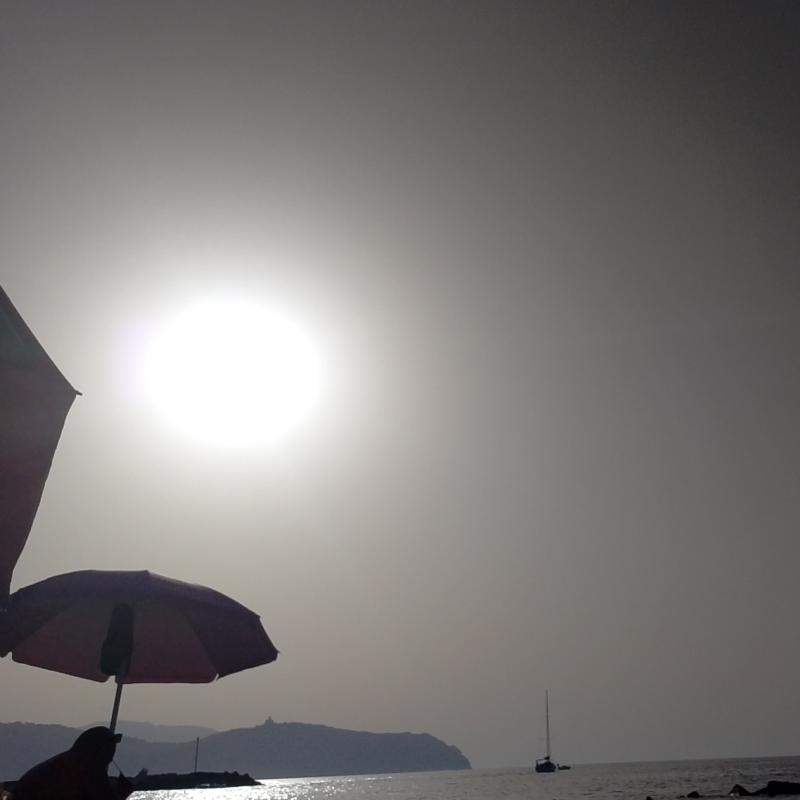Fotosegnalazione di Tonnarella