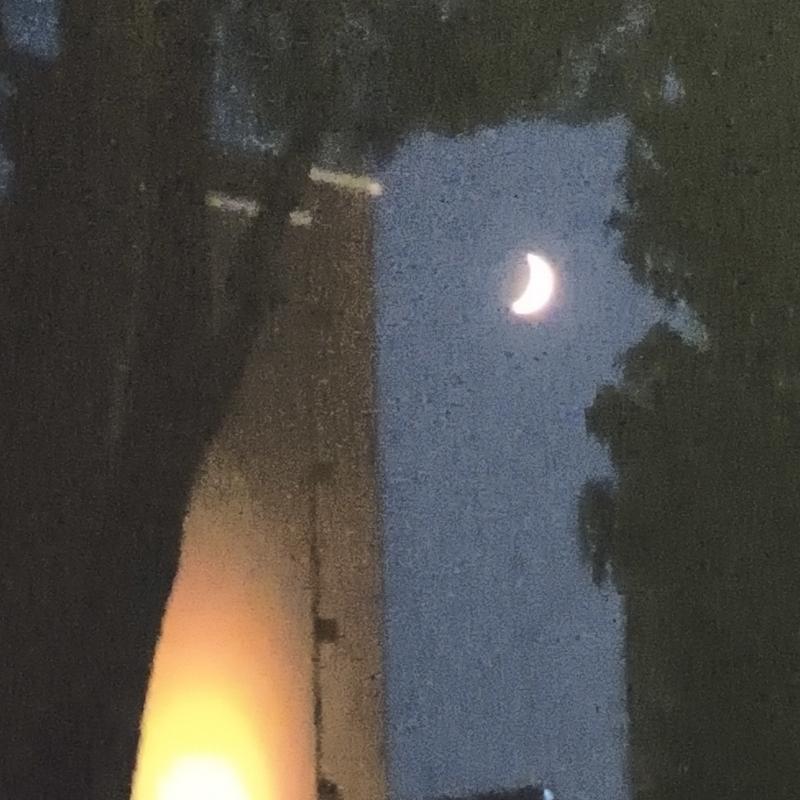 Fotosegnalazione di Forli' ridolfi