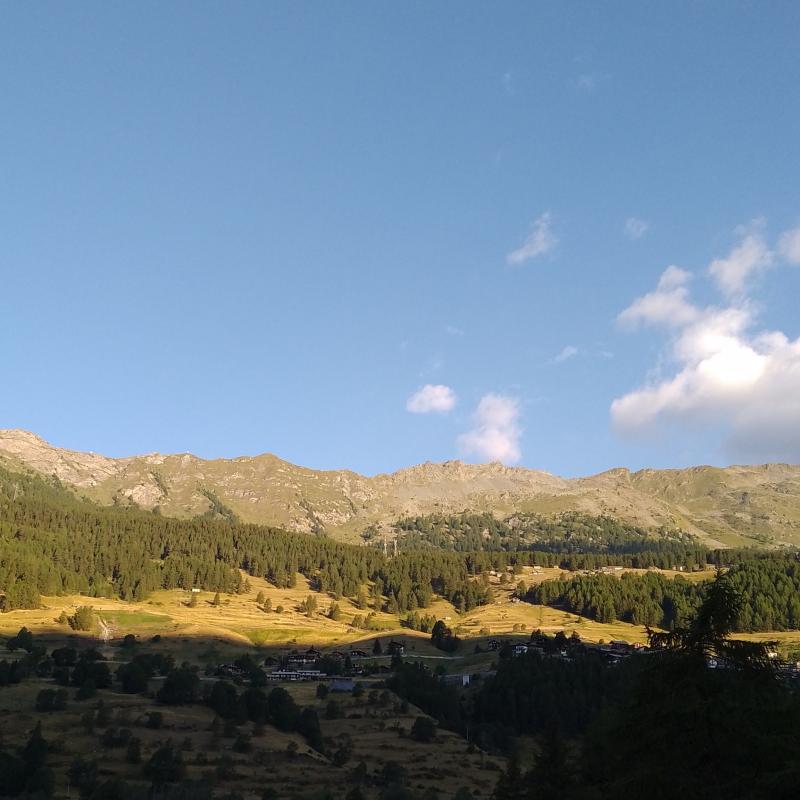 Punta zerbion