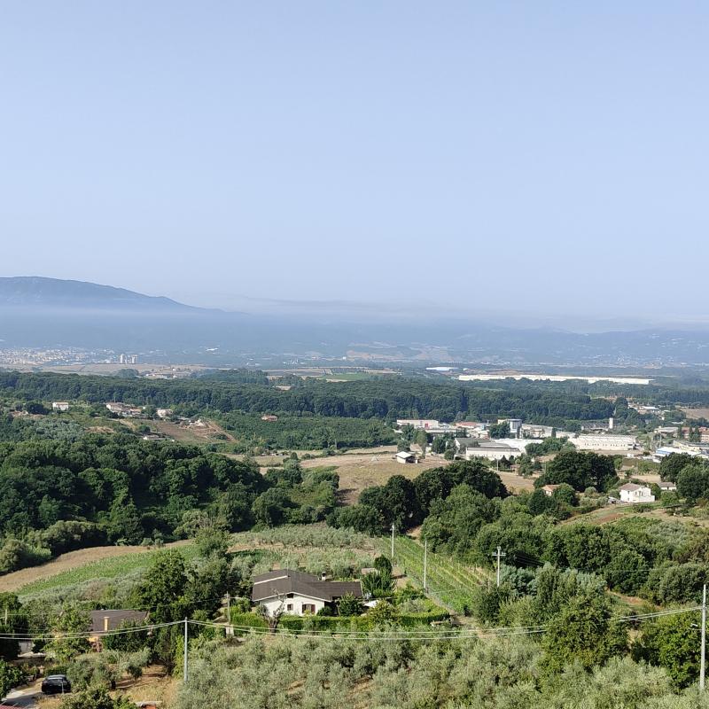 Fotosegnalazione di Paliano