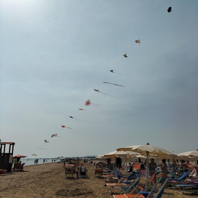 Fotosegnalazione di Vasto