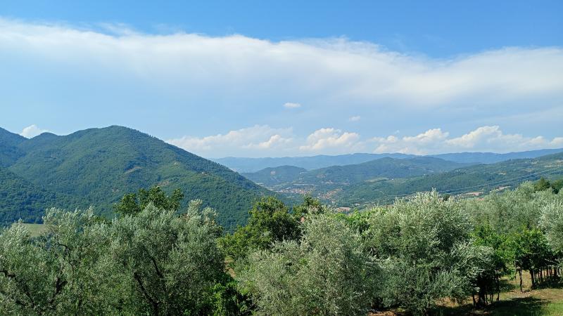 19 luglio 2026