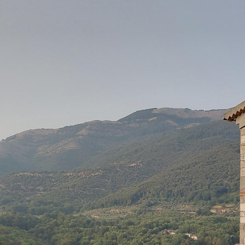 Fotosegnalazione di Bassiano
