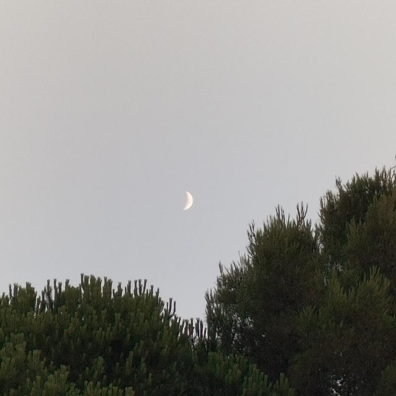 Fotosegnalazione di San salvo marina