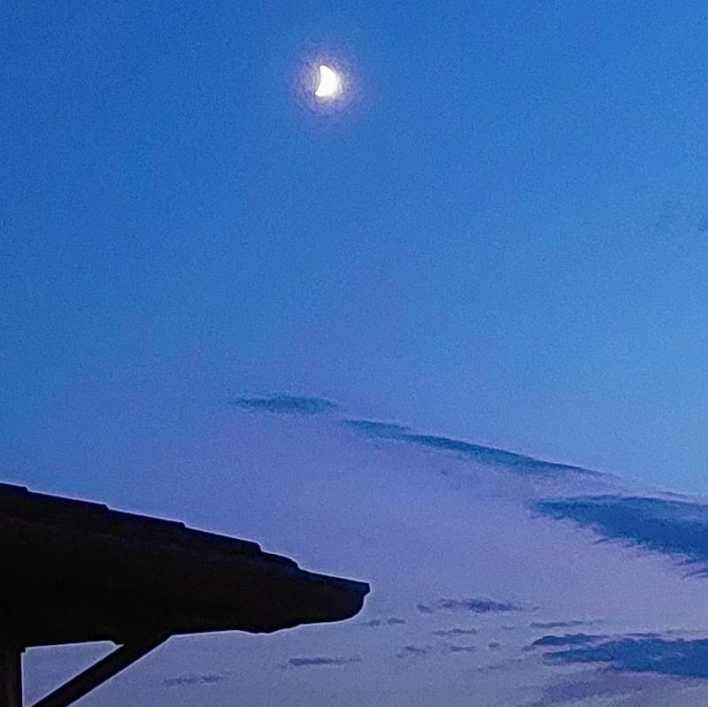 buona serata