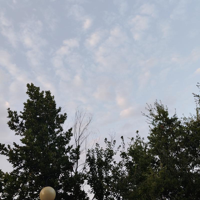 Fotosegnalazione di Zagarolo