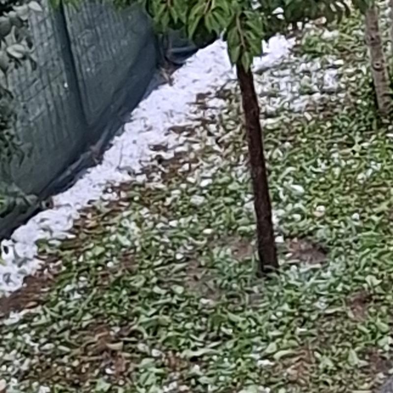 Fotosegnalazione di Seniga