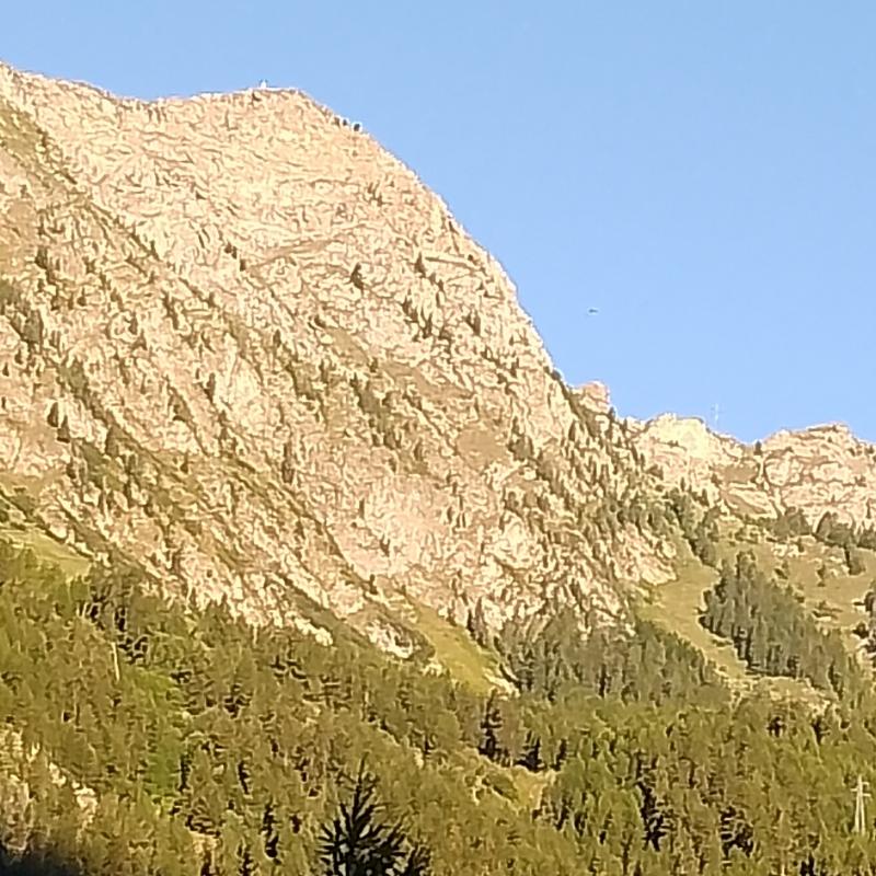 Punta zerbion
