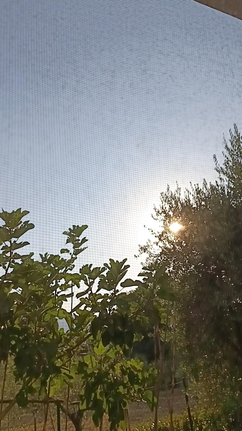 Un'altra giornata di caldo intenso