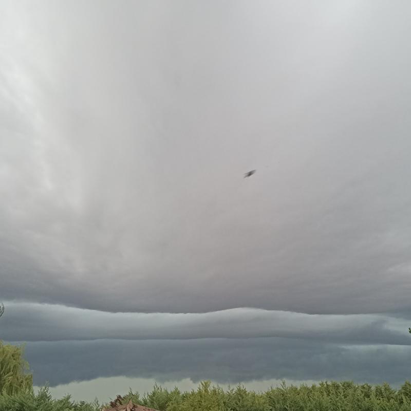 Fotosegnalazione di Fiesso umbertiano