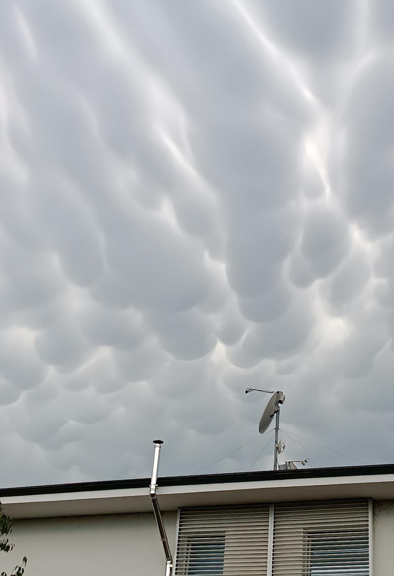 cielo mai visto