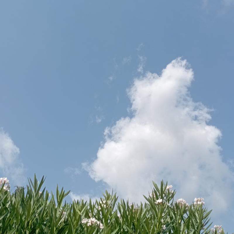 Fotosegnalazione di Campiglia marittima