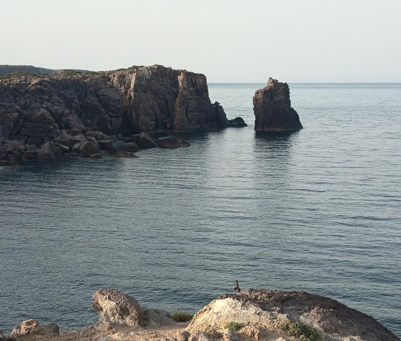 faraglioni nido dei passeri