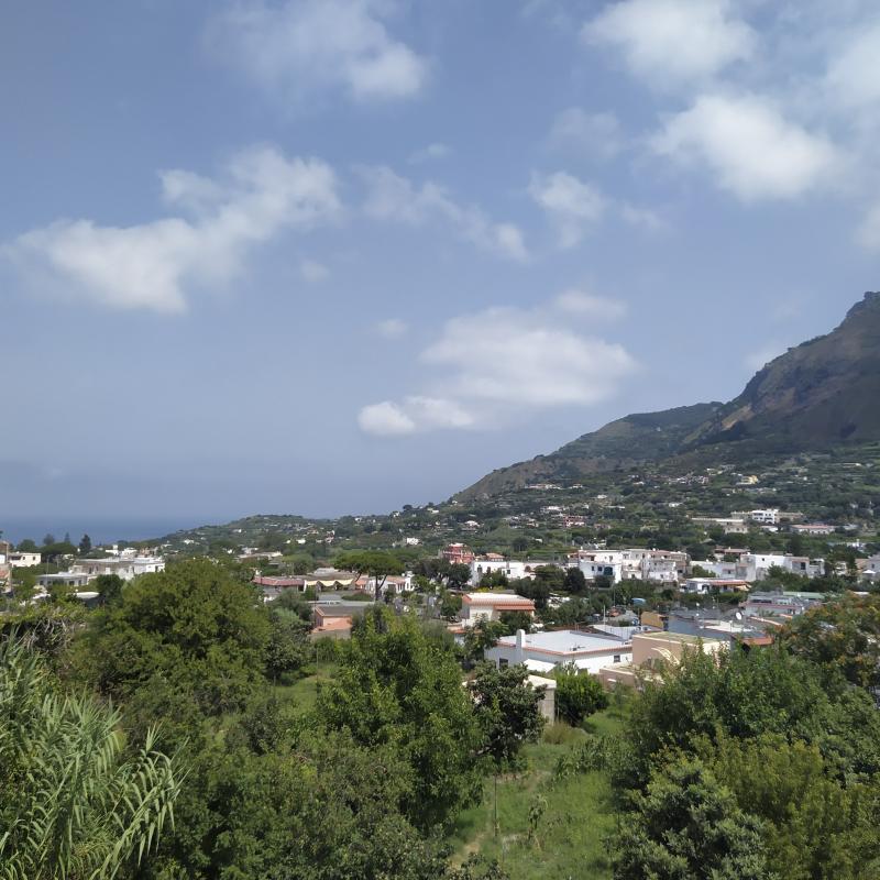 Fotosegnalazione di Forio