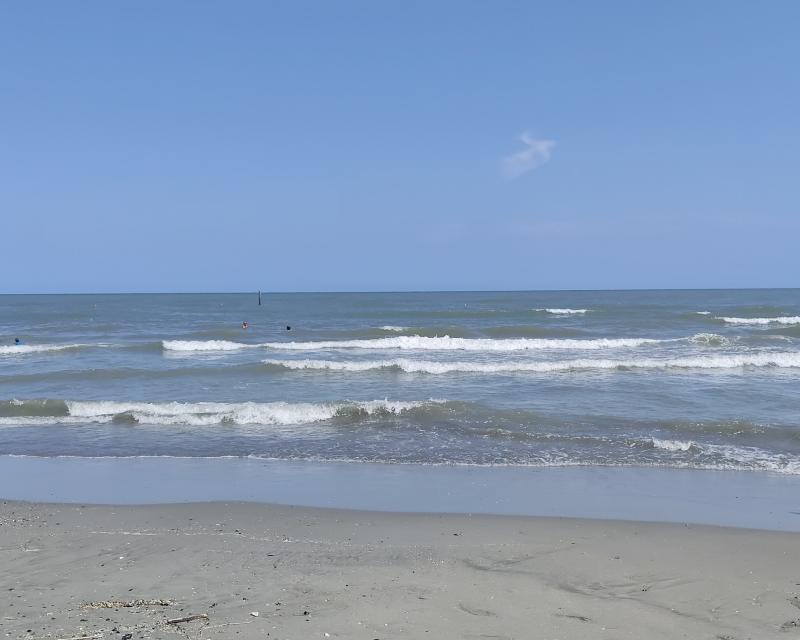 spiaggia delle conchiglie