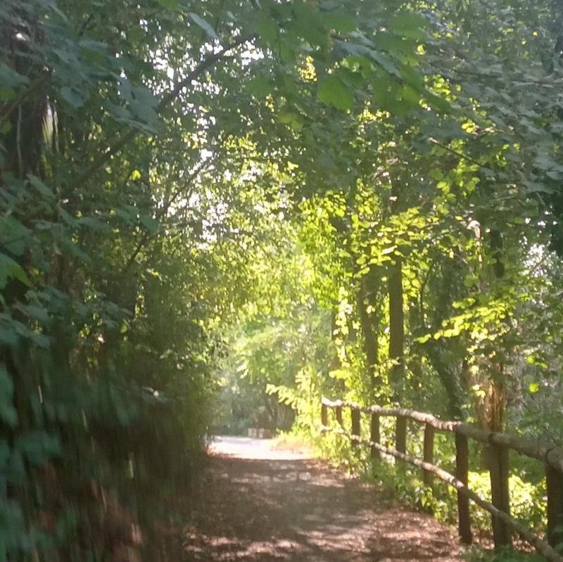 verde ristoro