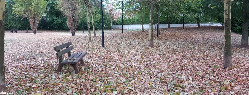 autunno no 150726