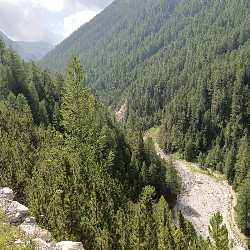 panorama