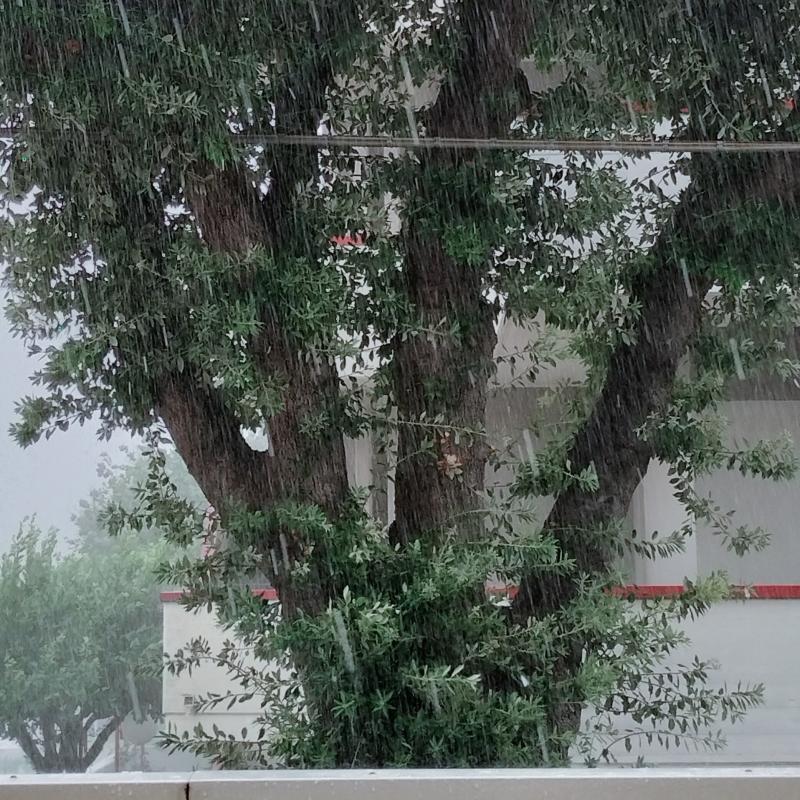 Fotosegnalazione di Roseto degli abruzzi