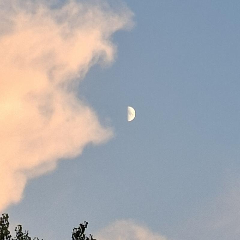 Fotosegnalazione di Mejaniga
