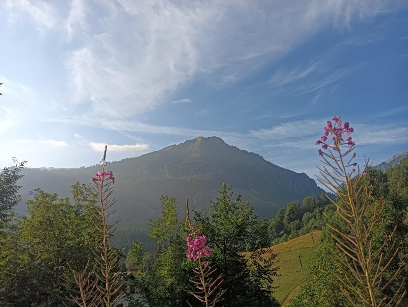 luci d'estate