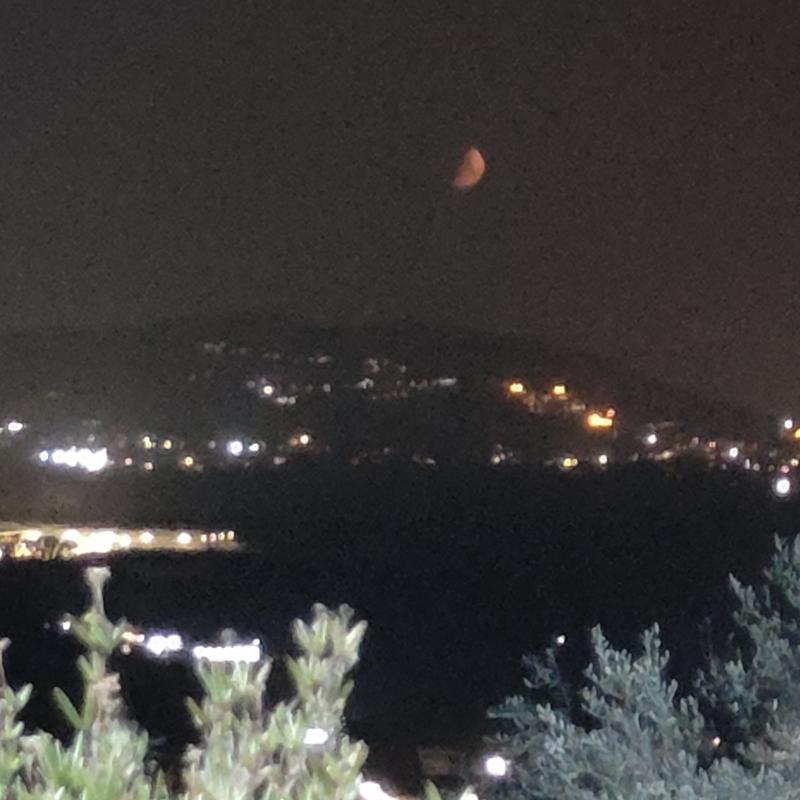 Fotosegnalazione di Paliano